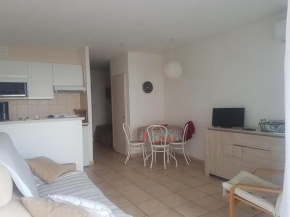 Studio climatisé pour 2/3 - Proche plage et commerces - WiFi inclus - FR-1-466A-22